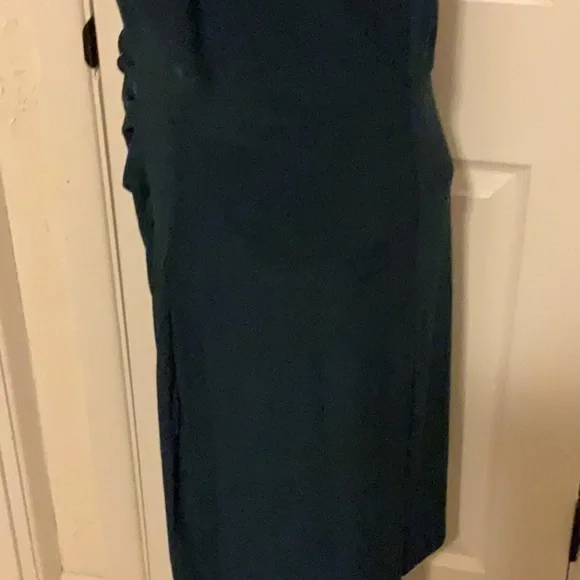 ANNE KLEIN Juniper Dress Size 16 NWT Retail $99 LAST ONE - Picture 6 of 6